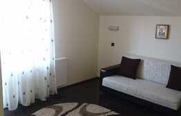 Apartament practic amenajat! 56 mp, doua balcoane, loc de parcare! Zona strazii Florilor!