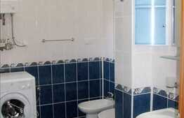 3 camere, 135 mp plus garaj subteran!