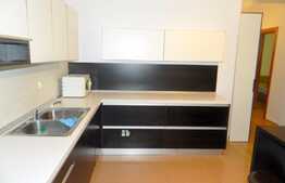 2 camere, 60 mp, garaj, terasa de 20 mp, zona Trifoiului