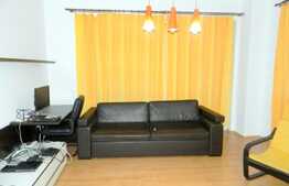 2 camere, 60 mp, garaj, terasa de 20 mp, zona Trifoiului