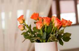 Apartament in culori calde! Prima inchiriere, Zona strazii Nasaud