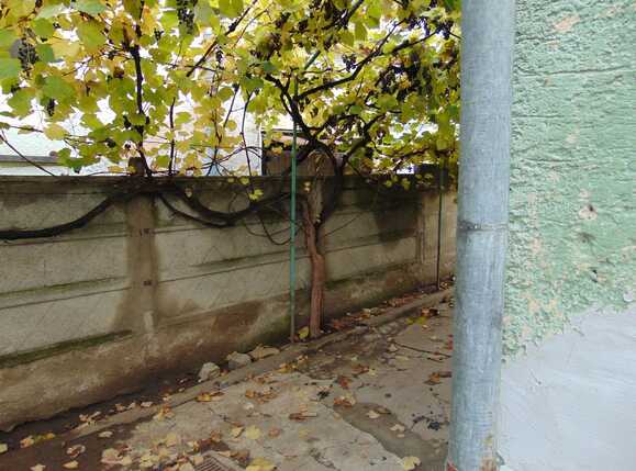 Casa de vânzare 4 camere Gruia - 28769CV | BLITZ Cluj-Napoca | Poza4