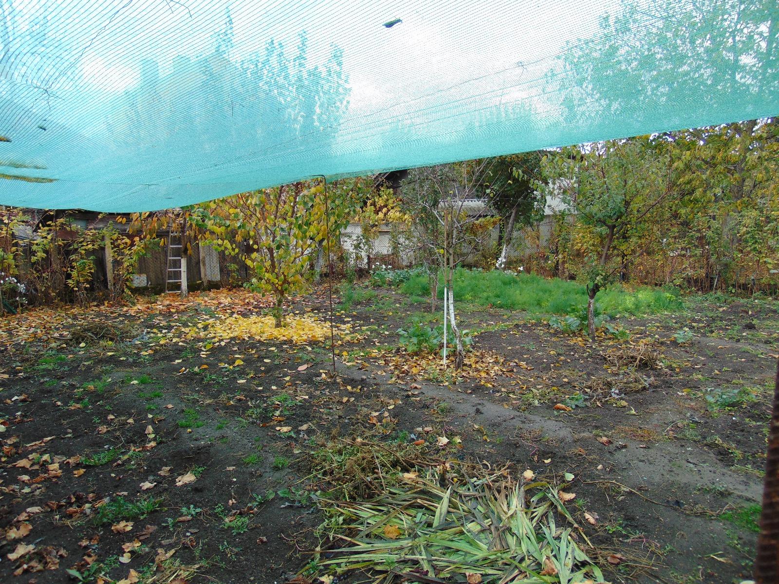 Casa de vânzare 4 camere Gruia - 28769CV | BLITZ Cluj-Napoca | Poza3