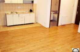 1 camera, 40 mp utili + terasa 8 mp, zona Interservisan, constructie noua