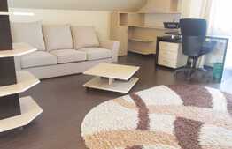 TERASA 136 MP! Studio de inchiriat, 56 mp, 2 locuri parcare, zona strazii Tulghesului