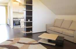 TERASA 136 MP! Studio de inchiriat, 56 mp, 2 locuri parcare, zona strazii Tulghesului