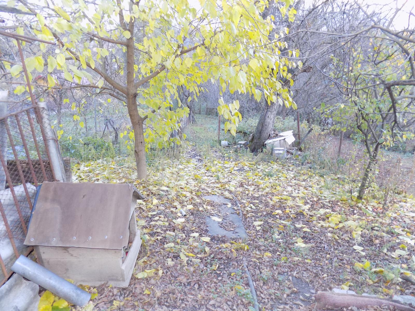 Casa de vânzare 2 camere Iris - 28785CV | BLITZ Cluj-Napoca | Poza7