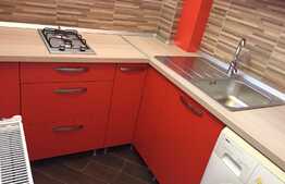 Garsoniera 32 mp, recent renovata, disponibila din 15 Oct, zona FSPAC