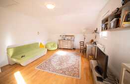 Casa individuala, 600 mp, 1572 mp, 14 ml, zona Kaufland