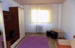 Garsoniera de vanzare, 22 mp, zona Expo Transilvania