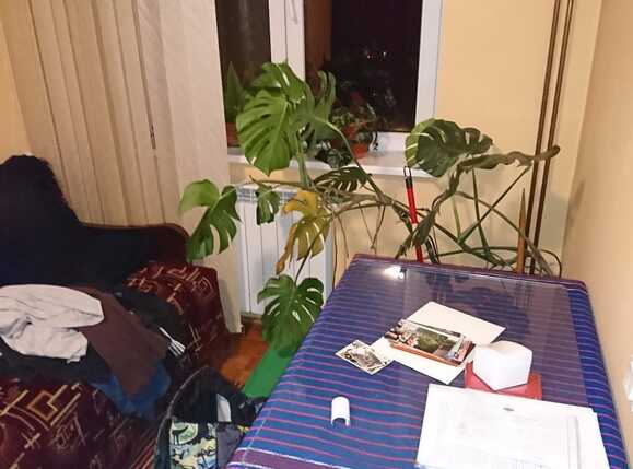 Apartament de vânzare 4 camere Grigorescu - 28848AV | BLITZ Cluj-Napoca | Poza5