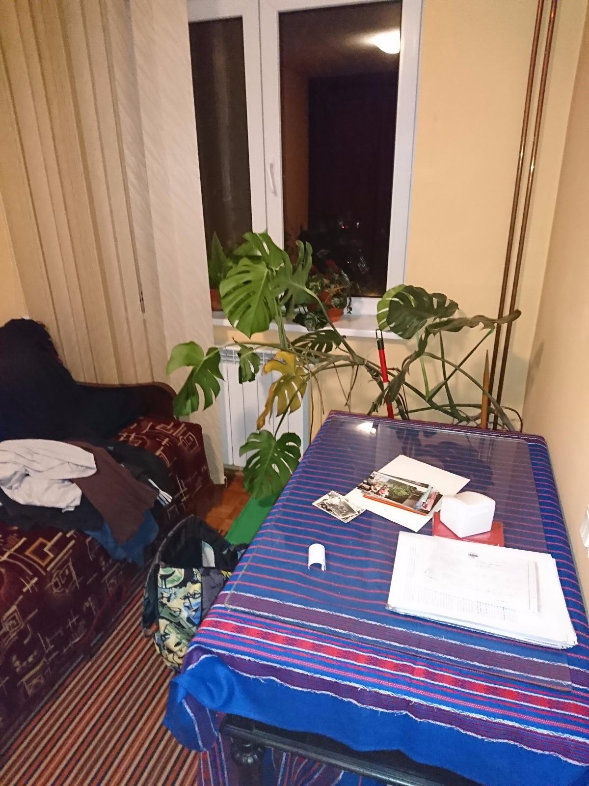 Apartament de vânzare 4 camere Grigorescu - 28848AV | BLITZ Cluj-Napoca | Poza5