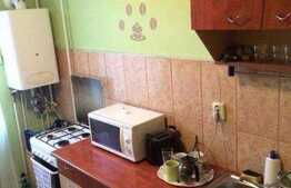 Garsoniera de inchiriat, 40 mp, zona Complex Diana