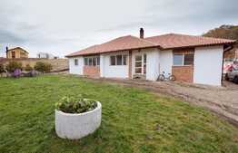 Casa ce iti da senzatia de libertate! 150 mp utili, teren de 1700 mp, locatie linistita