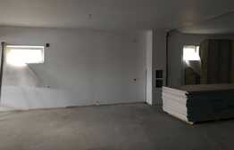 Spatiu/garaj cu acces de la nivelul trotuarului pentru investitie