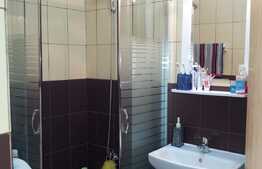 De inchiriat apartament cu 2 camere, 54 mp, zona strazii Frunzisului