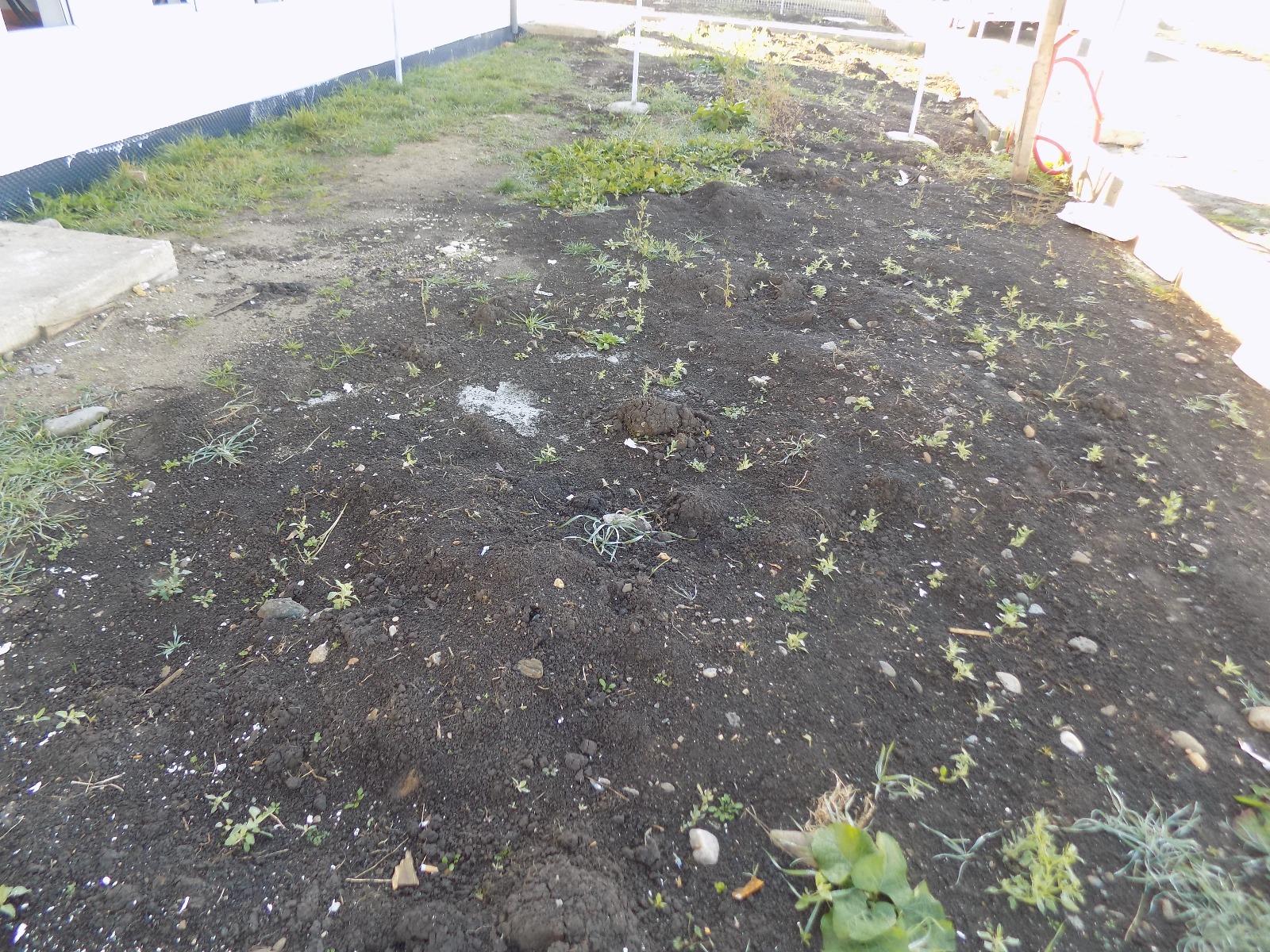 Casa de vânzare 4 camere Floreşti - 28878CV | BLITZ Cluj-Napoca | Poza9