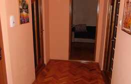 Apartament atent la modul in care arata! 70 mp, prima inchiriere, zona strazii Trotusului