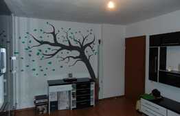 Garsoniera de inchiriat, 38 mp, prima inchiriere, zona Stadion CFR