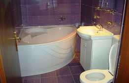 Apartament 2 camere, 35 mp, mobilat, zona strazii Calea Turzii