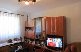 2 apartamente, 83 mp, imobil tip casa, zona Casa de Cultura a Studentilor