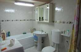 2 apartamente, 83 mp, imobil tip casa, zona Casa de Cultura a Studentilor