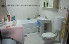 2 apartamente, 83 mp, imobil tip casa, zona Casa de Cultura a Studentilor