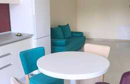 Apartament indraznet! 2 camere, 44 mp, mobilat modern, imobil nou, zona USAMV