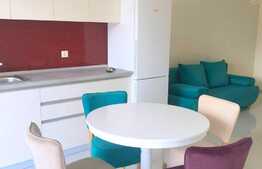 Apartament indraznet! 2 camere, 44 mp, mobilat modern, imobil nou, zona USAMV