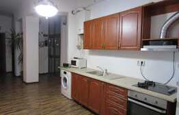 Apartament 4 camere, 145 mp, boxa, curte comuna, zona Piata Muzeului