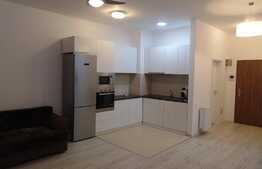 Apartament cu 3 camere, 71 mp, prima inchiriere, garaj, terasa 14 mp, zona strazii Buna Ziua 