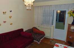 Garsoniera de inchiriat, 27 mp, zona strazii Rapsodiei