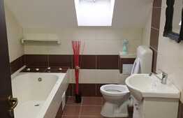 Apartament invaluit in eleganta si confort. 55 mp, terasa, zona Oncos. La cheie!