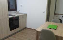 Apartament 2 camere, decomandat, imobil tip vila, 50 mp, prima inchiriere, zona strazii Meteor