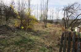 Teren intravilan, 750 mp, front 26 ml, zona linistita