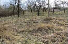 Teren intravilan, 750 mp, front 26 ml, zona linistita