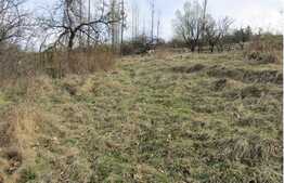 Teren intravilan, 750 mp, front 26 ml, zona linistita