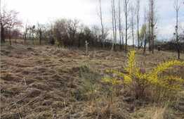 Teren intravilan, 750 mp, front 26 ml, zona linistita