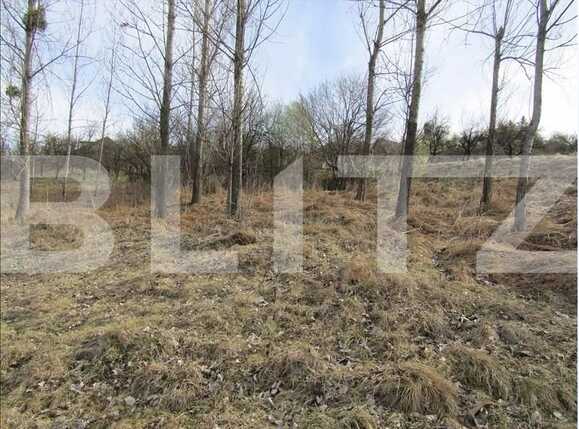 Teren de vânzare Exterior Sud - 29000TV | BLITZ Cluj-Napoca | Poza2