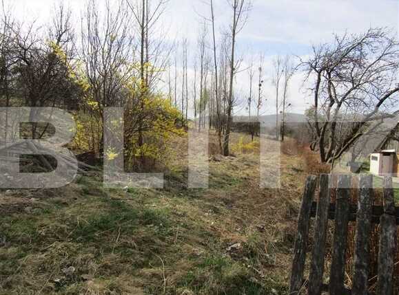 Teren de vânzare Exterior Sud - 29000TV | BLITZ Cluj-Napoca | Poza4