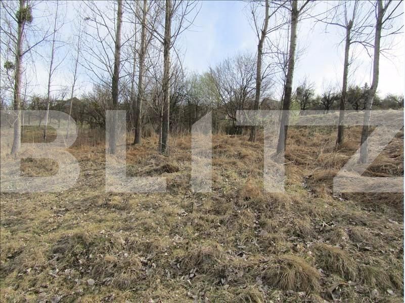 Teren de vânzare Exterior Sud - 29000TV | BLITZ Cluj-Napoca | Poza2