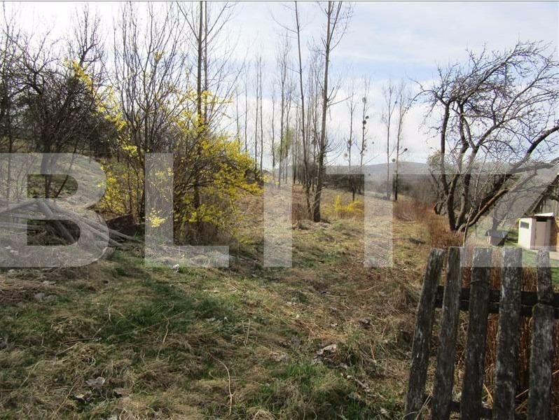 Teren de vânzare Exterior Sud - 29000TV | BLITZ Cluj-Napoca | Poza4