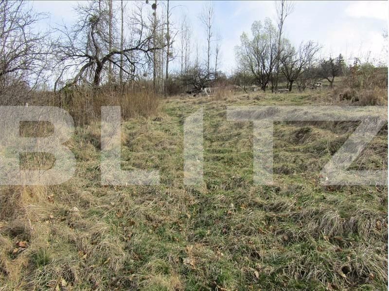 Teren de vânzare Exterior Sud - 29000TV | BLITZ Cluj-Napoca | Poza5