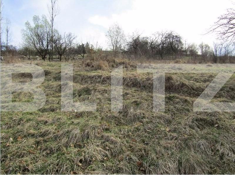 Teren de vânzare Exterior Sud - 29000TV | BLITZ Cluj-Napoca | Poza3