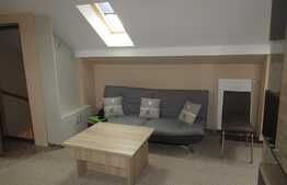 Apartament 1 camera, 45 mp, parcare, aer conditionat, zona strazii Odobesti