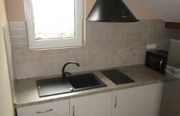 Apartament 1 camera, 45 mp, parcare, aer conditionat, zona strazii Odobesti