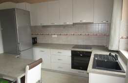 2 camere, 55 mp, gradina 40 mp, parcare, zona strazii Odobesti