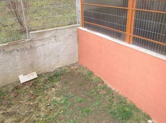 Apartament de închiriat 2 camere Dambul Rotund - 29005AI | BLITZ Cluj-Napoca | Poza12