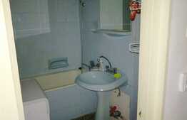 Garsoniera de inchiriat, 30 mp, zona strazii Detunata