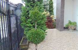 Casa individuala 654 mp utili, teren de 370 mp, zona accesibila